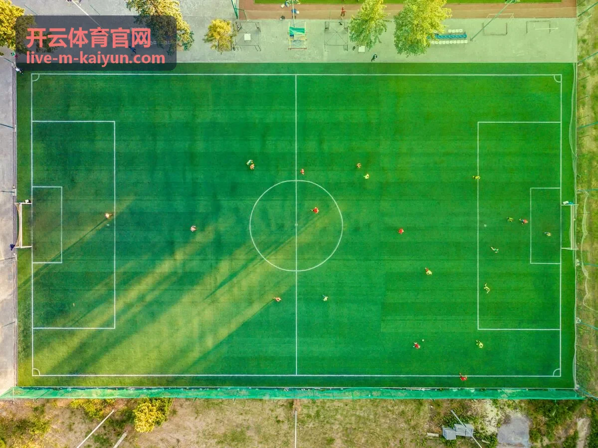 开云体育官网社区精选封面图